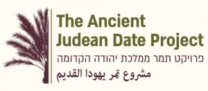 לוגו פרוייקט תמר ממלכת יהודה הקדומה